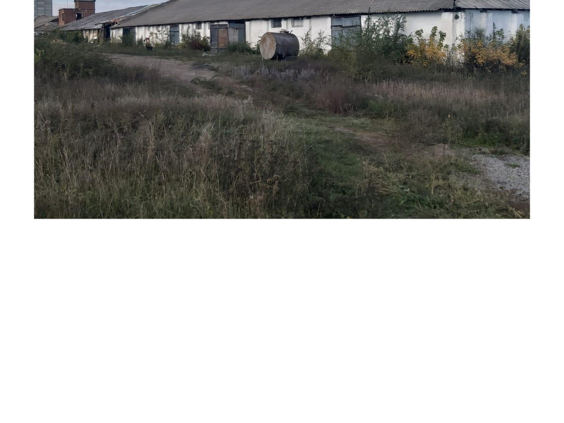Купить сельхозпроизводство-элеваторный комплекс