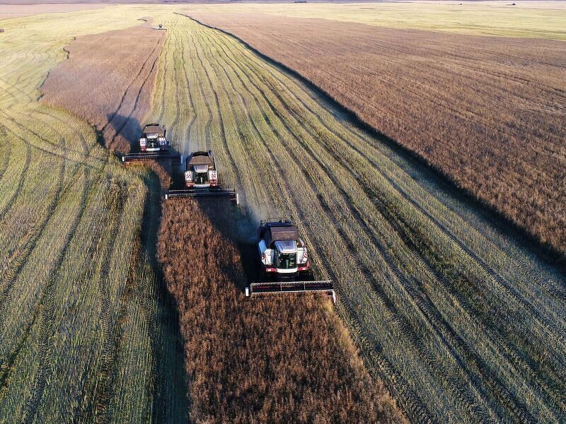 Продажа агропромышленного комплекса в Приволжском федеральном округе